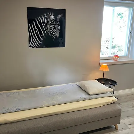 Vaeike-turu Stuudiokorter Apartman Viljandi